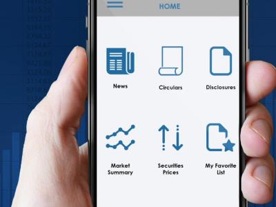 النسخة المصغرة